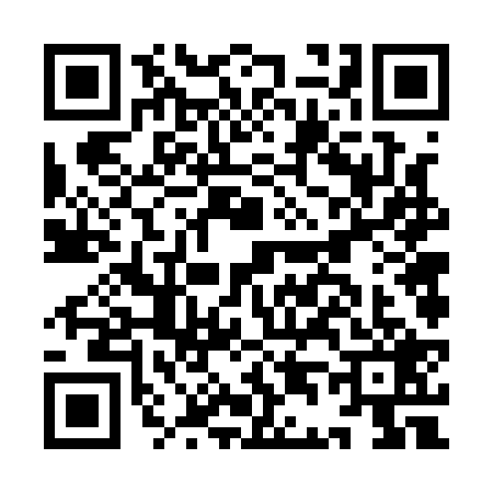 QR code for ID61295