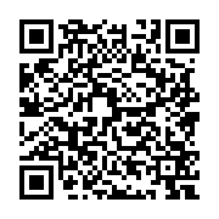 QR code for ID85634