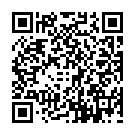 QR code for ID91545