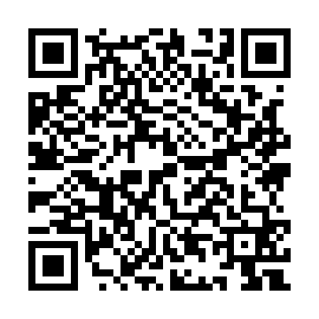 QR code for ID91601