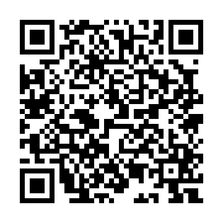 QR code for IE10452