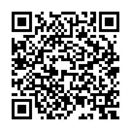 QR code for IE12110