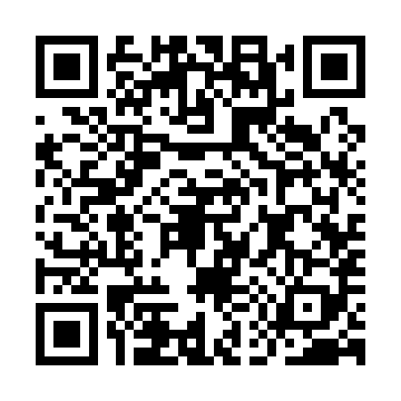 QR code for IE31894
