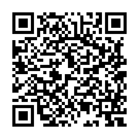 QR code for IE38854