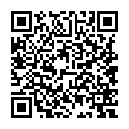 QR code for IE49691