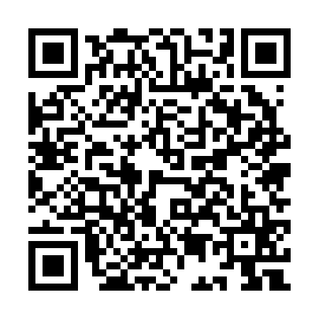 QR code for IE52653