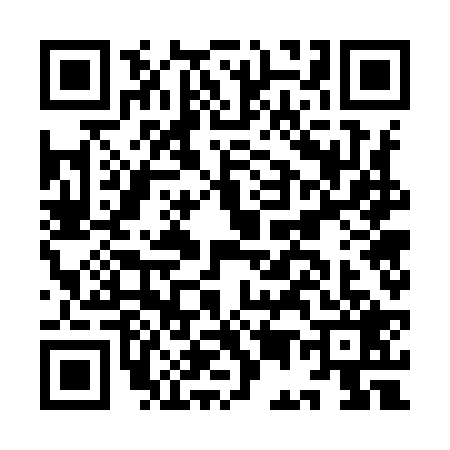QR code for IE79295