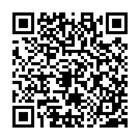 QR code for IE94873