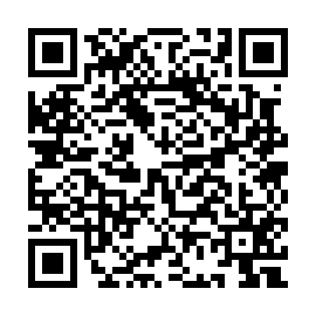 QR code for IF30555