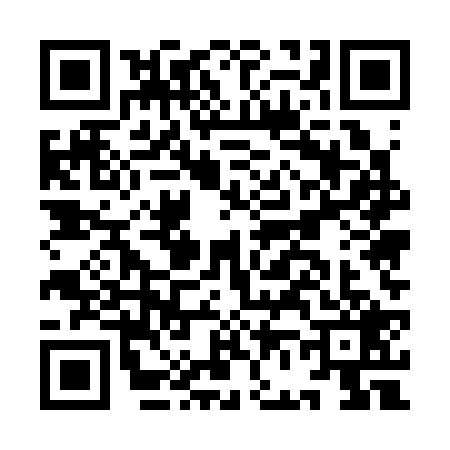 QR code for IF53293