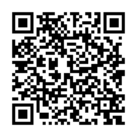 QR code for IF81232