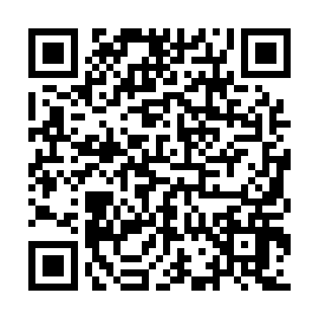 QR code for IG11160