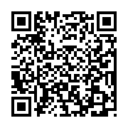 QR code for IG38536