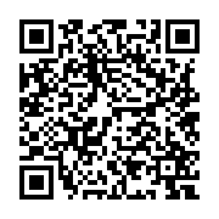 QR code for II29271