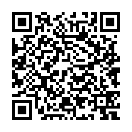 QR code for II45391