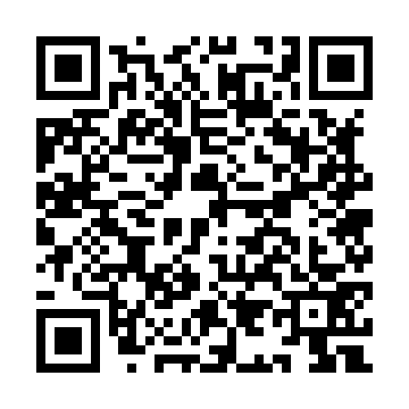 QR code for II78739