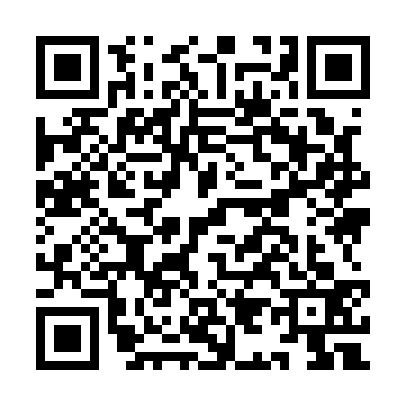 QR code for II91333