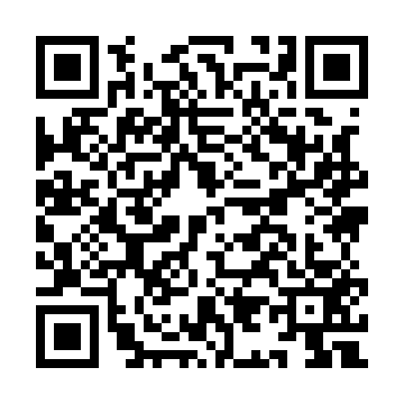 QR code for II91534