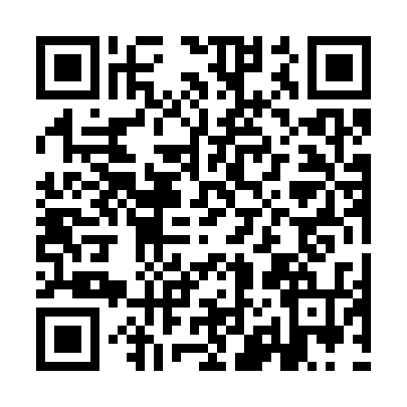 QR code for IJ03346