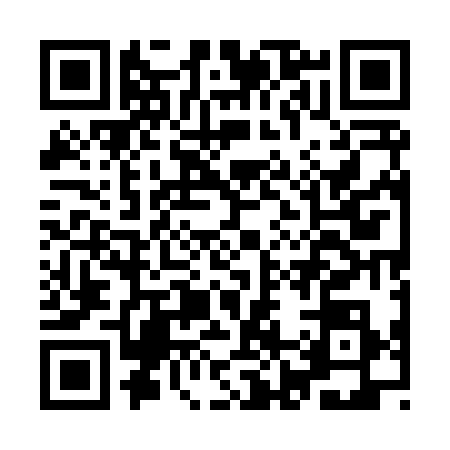 QR code for IJ58385