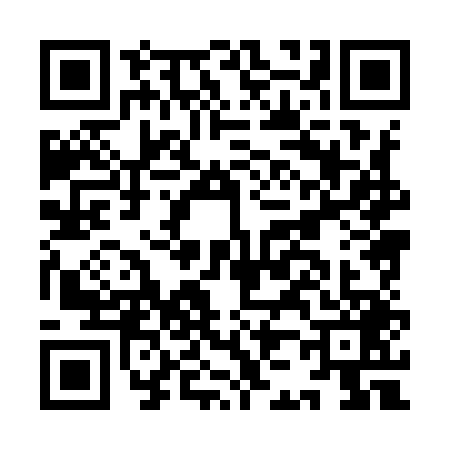QR code for IJ89491