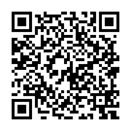 QR code for IJ95992