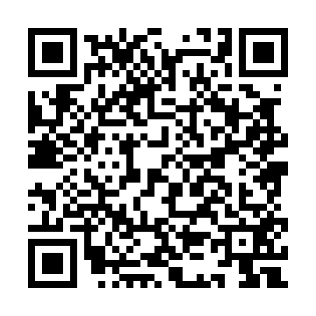 QR code for IK80528