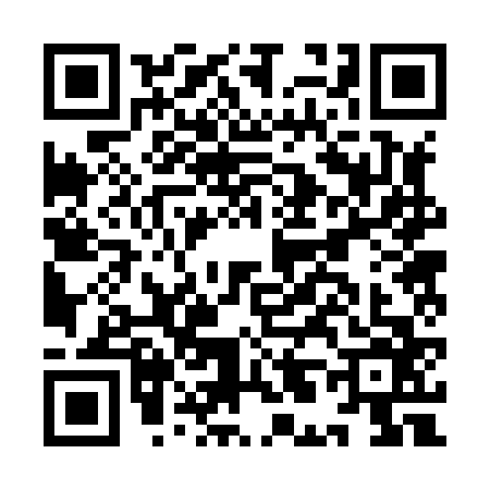 QR code for IL28665