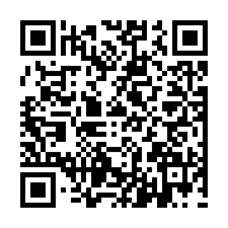 QR code for IL63919