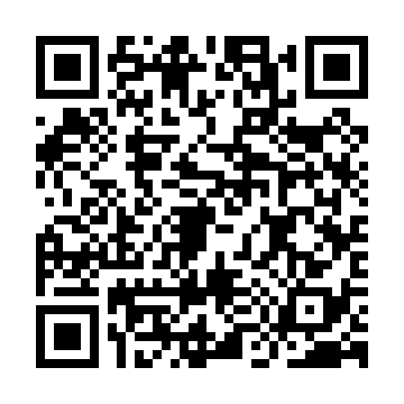 QR code for IM30385