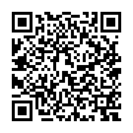 QR code for IN11502