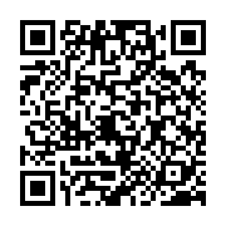 QR code for IN17294