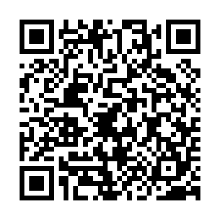 QR code for IN30546