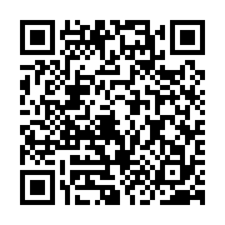 QR code for IN31329
