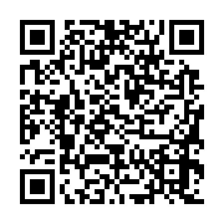 QR code for IN53788