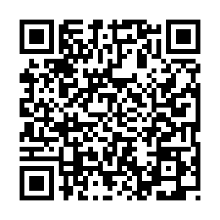 QR code for IN95085
