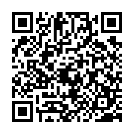 QR code for IN96066