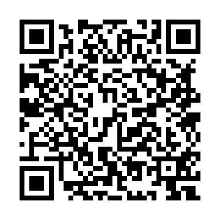 QR code for IO38118