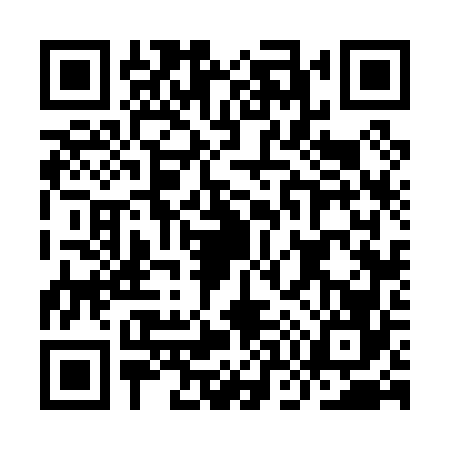 QR code for IO60667
