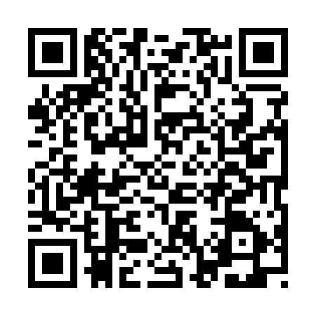 QR code for IO91156