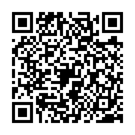 QR code for IO96731