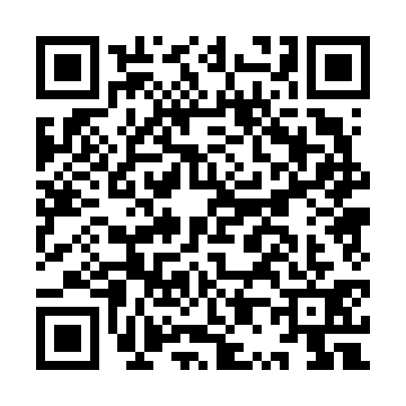 QR code for IP06313