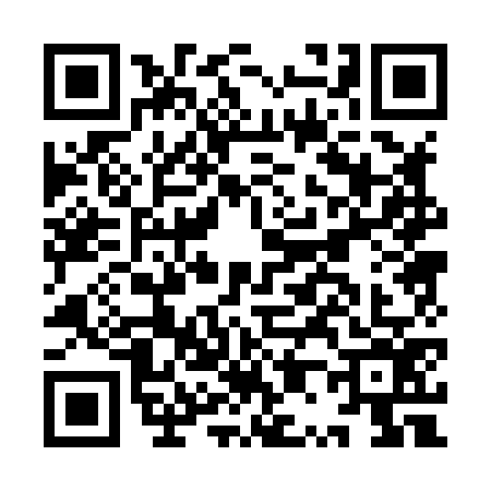 QR code for IP08768