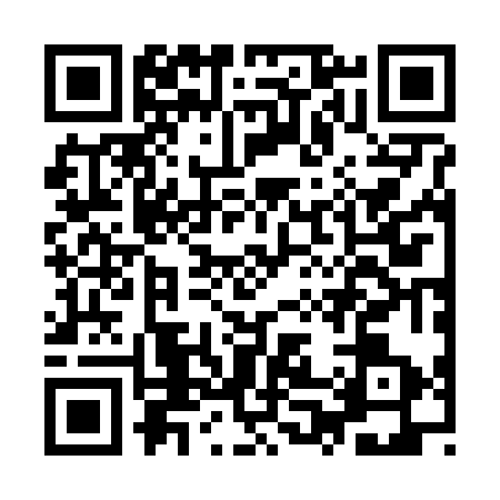 QR code for IP26738