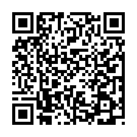 QR code for IP29659