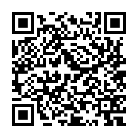 QR code for IP29767
