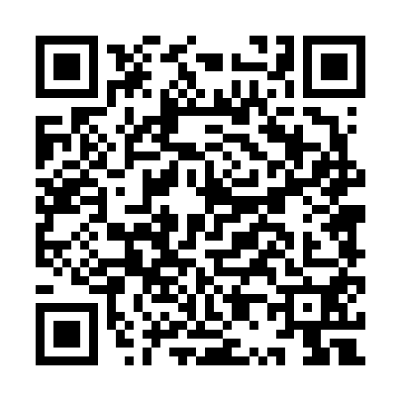QR code for IP46500