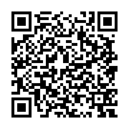 QR code for IP84738