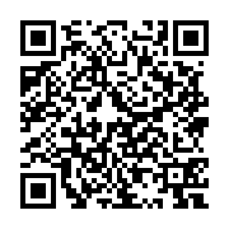 QR code for IP95703