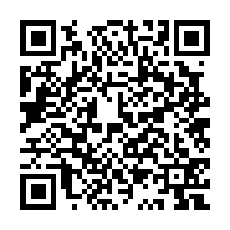 QR code for IQ20333
